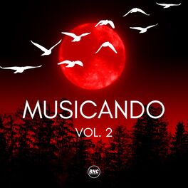Album cover of Musicando, Vol. 2