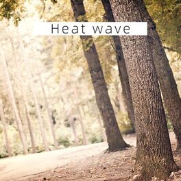 Album cover of Heat wave