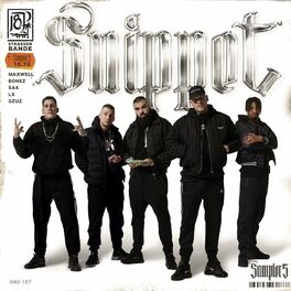 Album cover of Sampler 5 (Snippet)