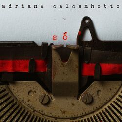 Download CD Adriana Calcanhotto – Só 2020