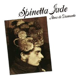 Album cover of Alma de Diamante
