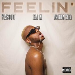 Album cover of FEELIN' (feat. Pr3scott, Karim & Amanda Shea)
