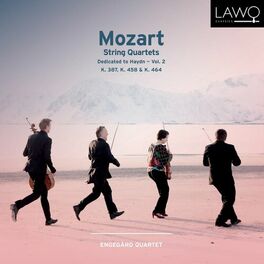 Album cover of Mozart: String Quartets - Dedicated to Haydn, Vol. 2