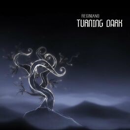 Album cover of Turning Dark