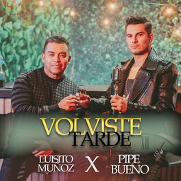 Album cover of Volviste Tarde