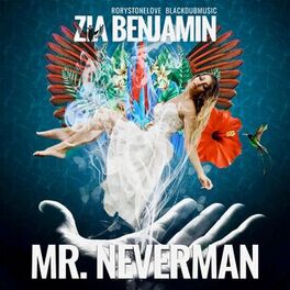 Album cover of Mr. Neverman