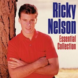 Album cover of Essential Collection (Deluxe Edition)