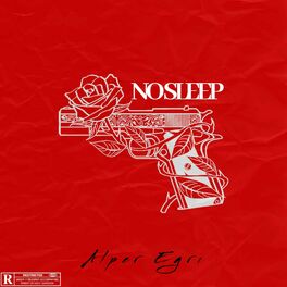 Album cover of No Sleep (feat. Mustafa Alpar)