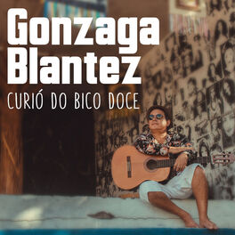 Album cover of Curió do Bico Doce