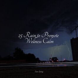 Album cover of 25 Rain to Promote Wellness Calm