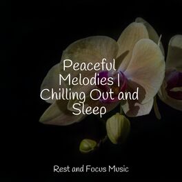 Album cover of Peaceful Melodies | Chilling Out and Sleep