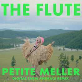 Album cover of The Flute (Digital Farm Animals Remix)