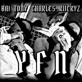 Album cover of Y.F.N