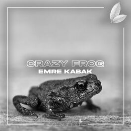 Album cover of Crazy Frog