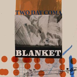 Album cover of Blanket