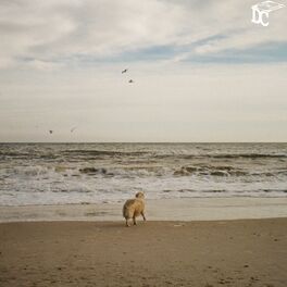 Album cover of kind spirits