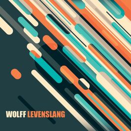 Album cover of Levenslang