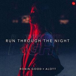 Album cover of Run Through The Night (feat. MEELA)