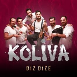Album cover of Diz Dize (Akustik)
