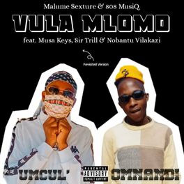 Album cover of Vula Mlomo Revisit (feat. 808 MusiQ, Musa Keys, Sir Trill & Nobantu Vilakazi)