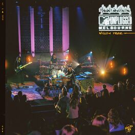 Album cover of Willow Tree (MTV Unplugged, Live In Melbourne)