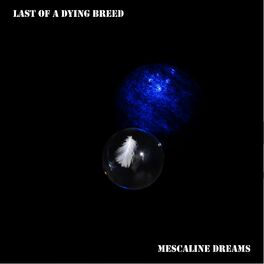 Album cover of Mescaline Dreams
