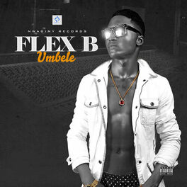 Album cover of Umbele