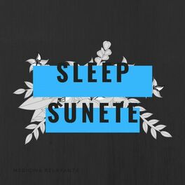 Album cover of Sleep Sunete