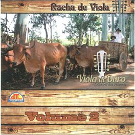 Album cover of Viola de Ouro - 2º Racha de Viola Vol. 02