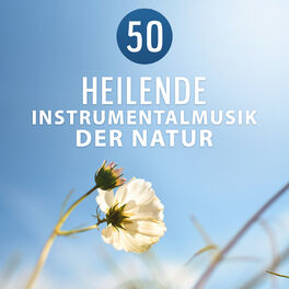 Album cover of 50 Heilende Instrumentalmusik der Natur: Tiefenentspannung und Autogenes Training mit Entspannungsmusik zum Meditation und Yoga, S