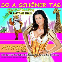 Album cover of So a schöner Tag (Fliegerlied) Hitmixe