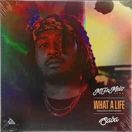Album cover of What a Life