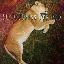 Album cover of 50 Destress for Bed