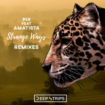 Pix Strange Ways Lassq Remix Listen With Lyrics Deezer deezer