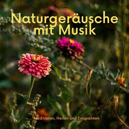 Album cover of Naturgeräusche mit Musik - Meditieren, Heilen und Entspannen