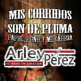 Album cover of Mis Corridos Son de Pluma, Papel, Puño y Mi Cabeza