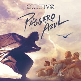 Album cover of Pássaro Azul