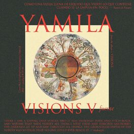 Album cover of Visions V