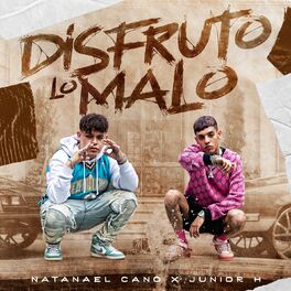 Album cover of Disfruto Lo Malo