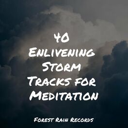 Album cover of 40 Enlivening Storm Tracks for Meditation