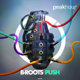 Album cover of Push