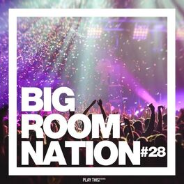 Album cover of Big Room Nation, Vol. 28