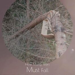 Album cover of How Many Tears Must Fall