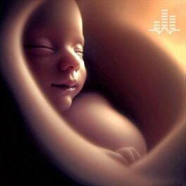 Album cover of Womb Sound
