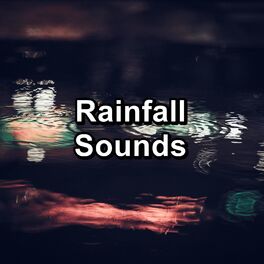 Album cover of Rainfall Sounds
