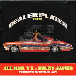 Album cover of Dealer Plates (feat. Boldy James) [Remix]