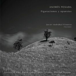 Album cover of Figuraciones y Opuestos