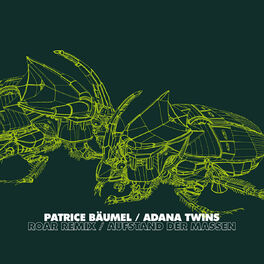 Album cover of Roar Remix / Aufstand der Massen
