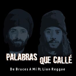 Album cover of Palabras Que Callé