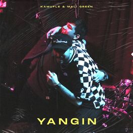 Album cover of YANGIN